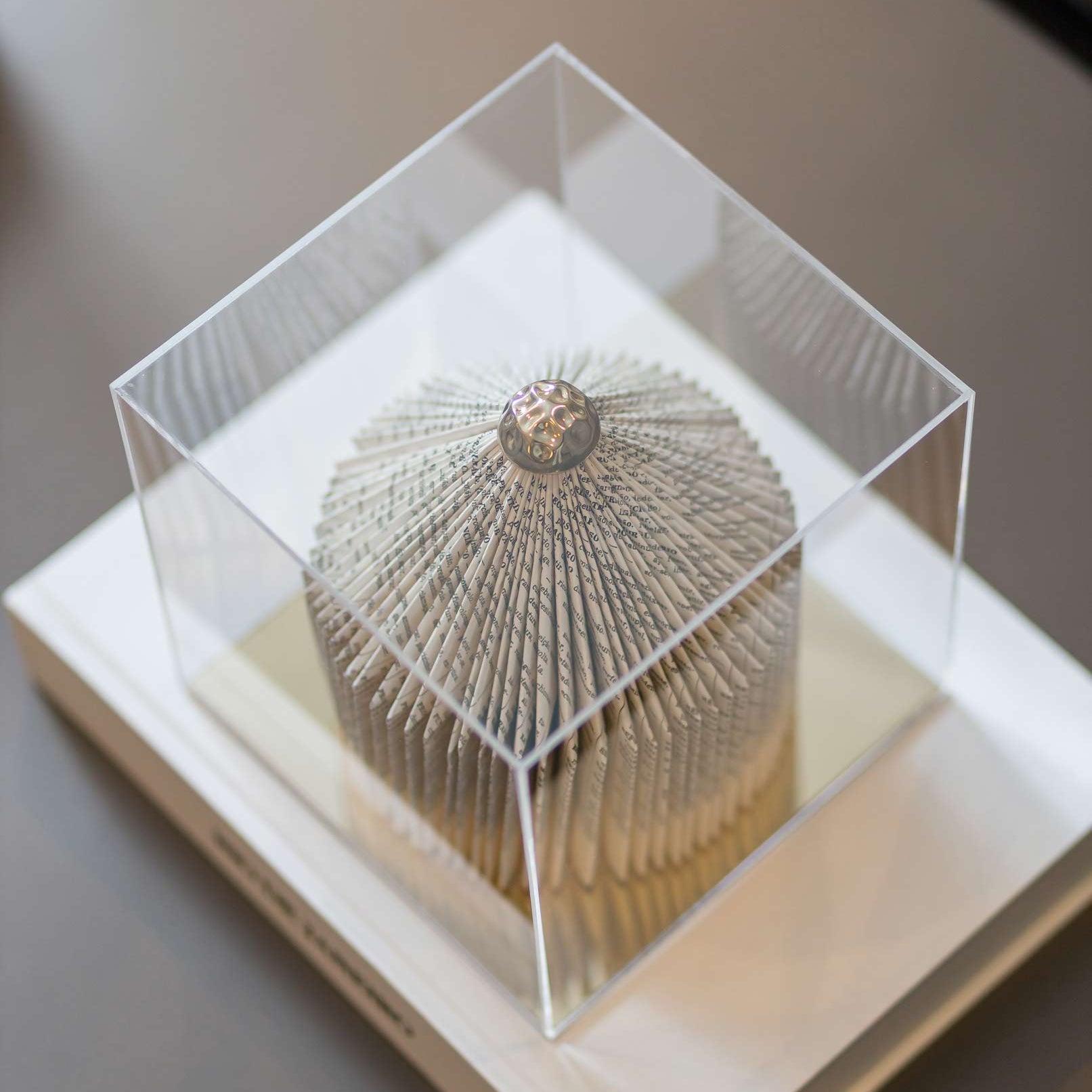 Escultura Contemporânea na Caixa de acrílico