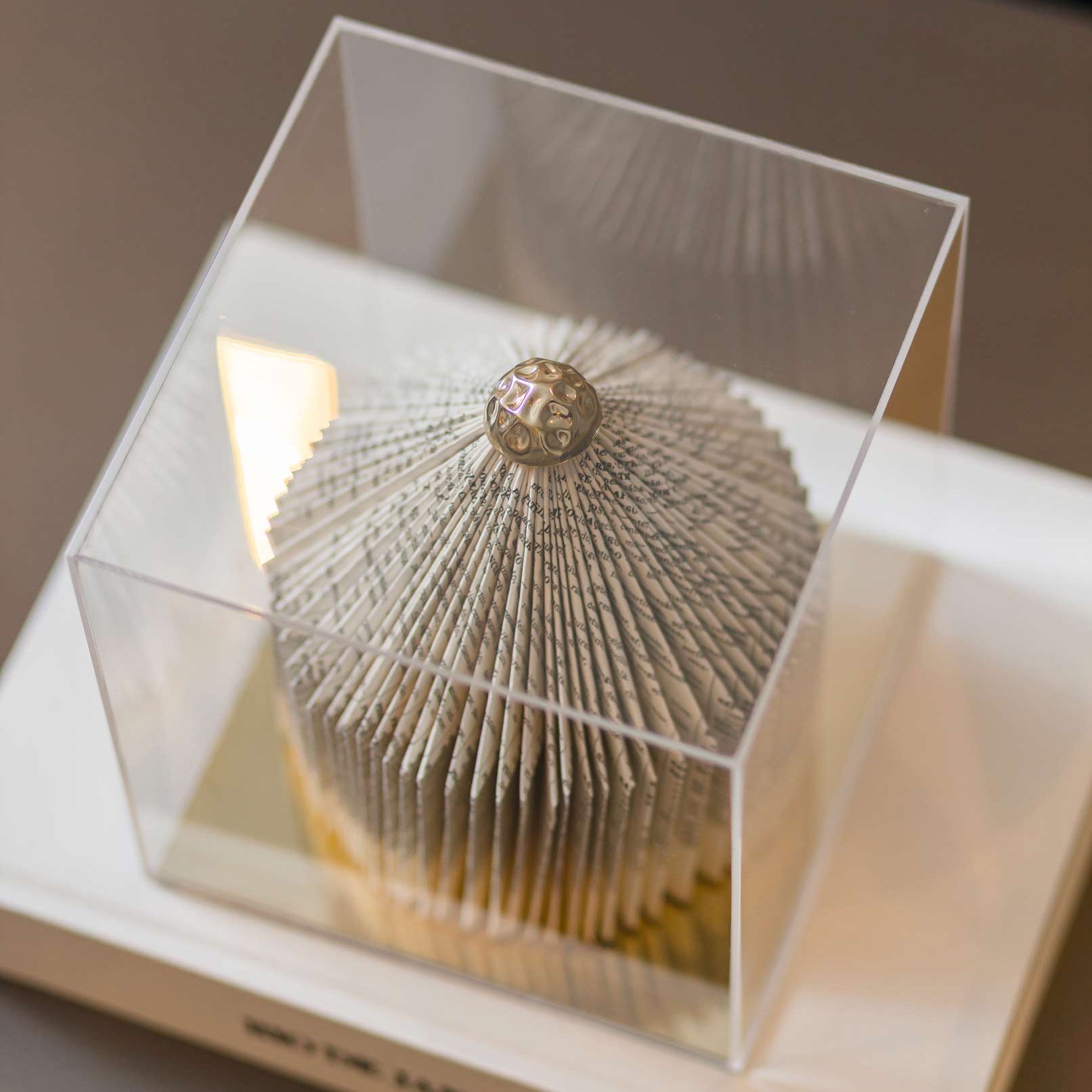 Escultura Contemporânea na Caixa de acrílico