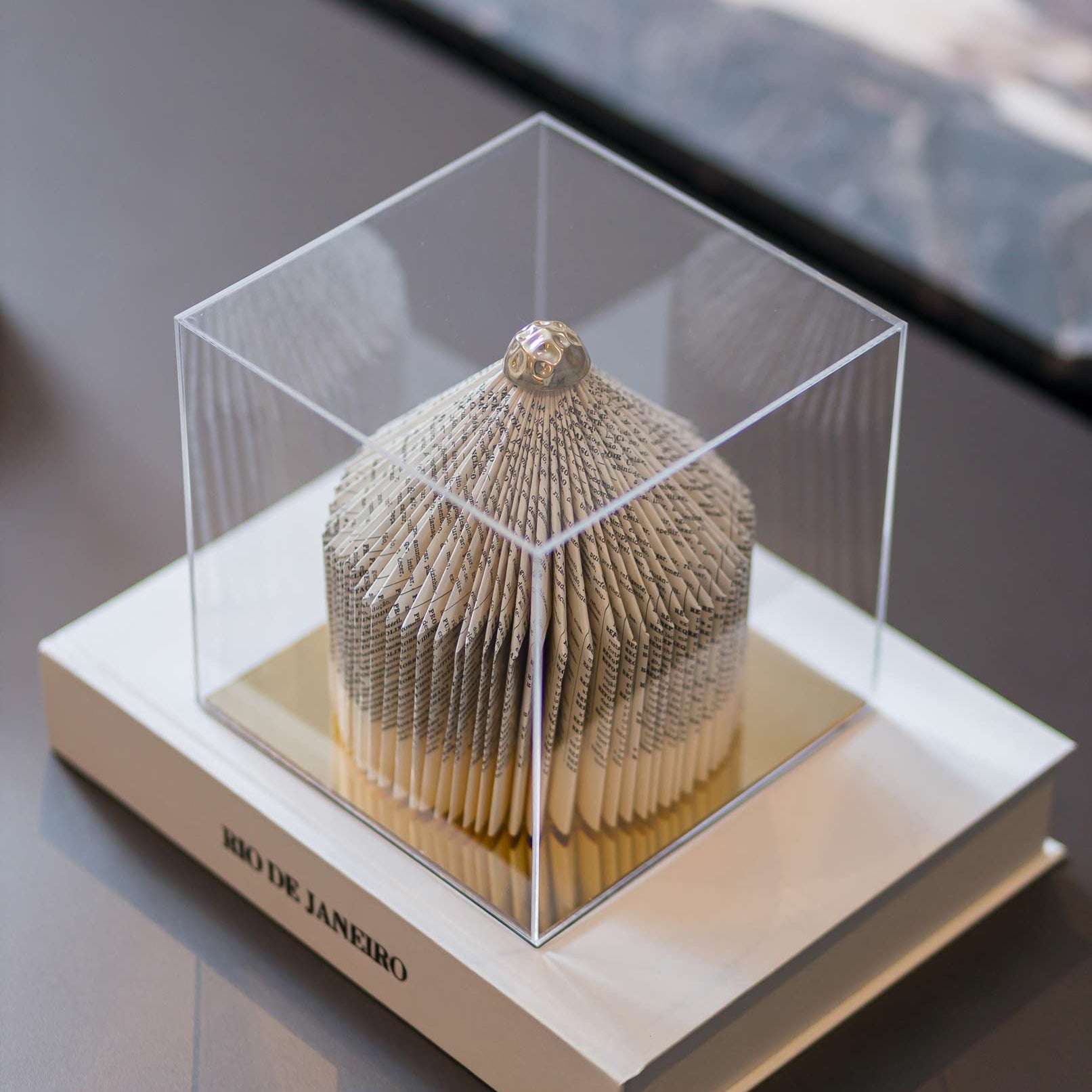 Escultura Contemporânea na Caixa de acrílico