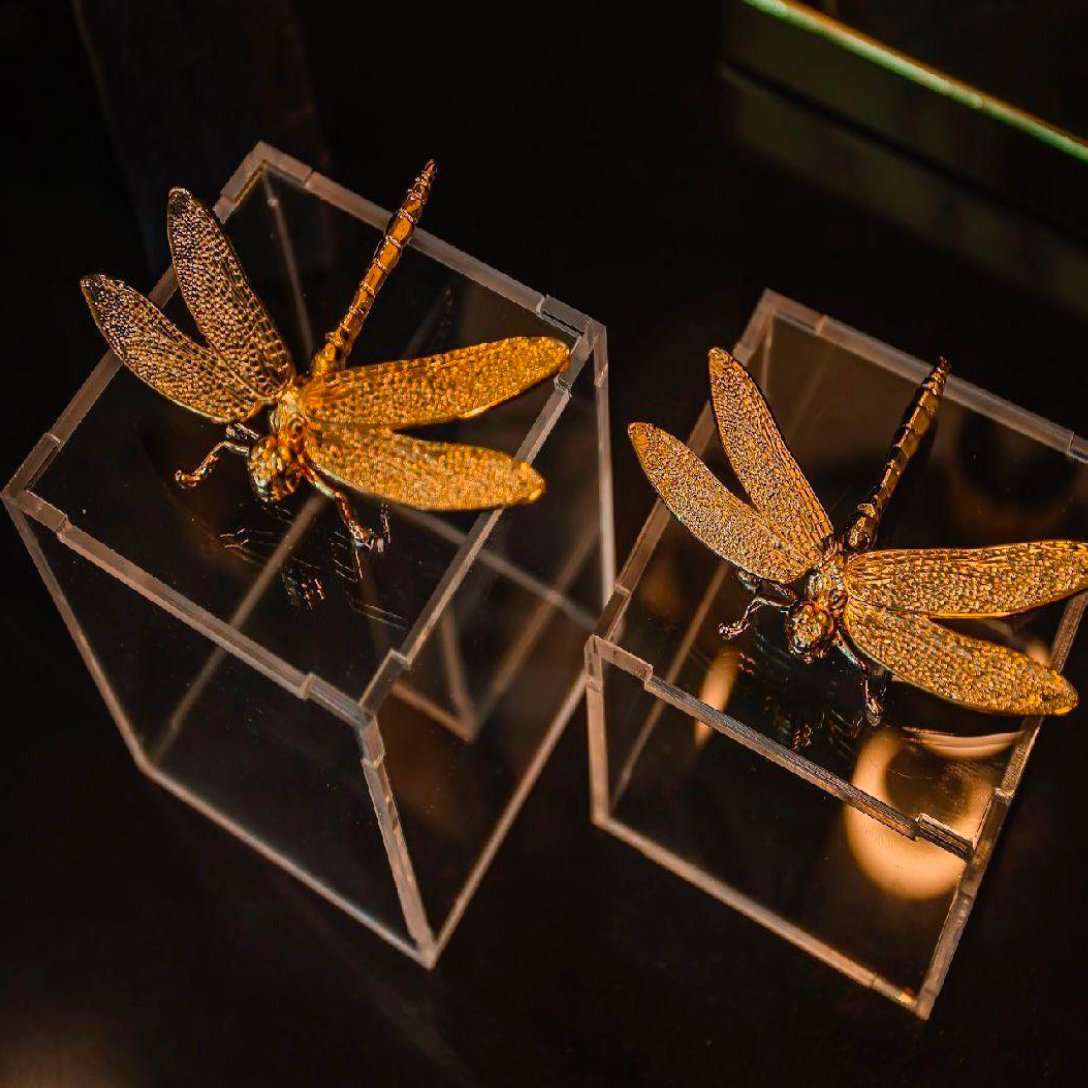 Caixa de acrílico porta-objetos com libélula em metal