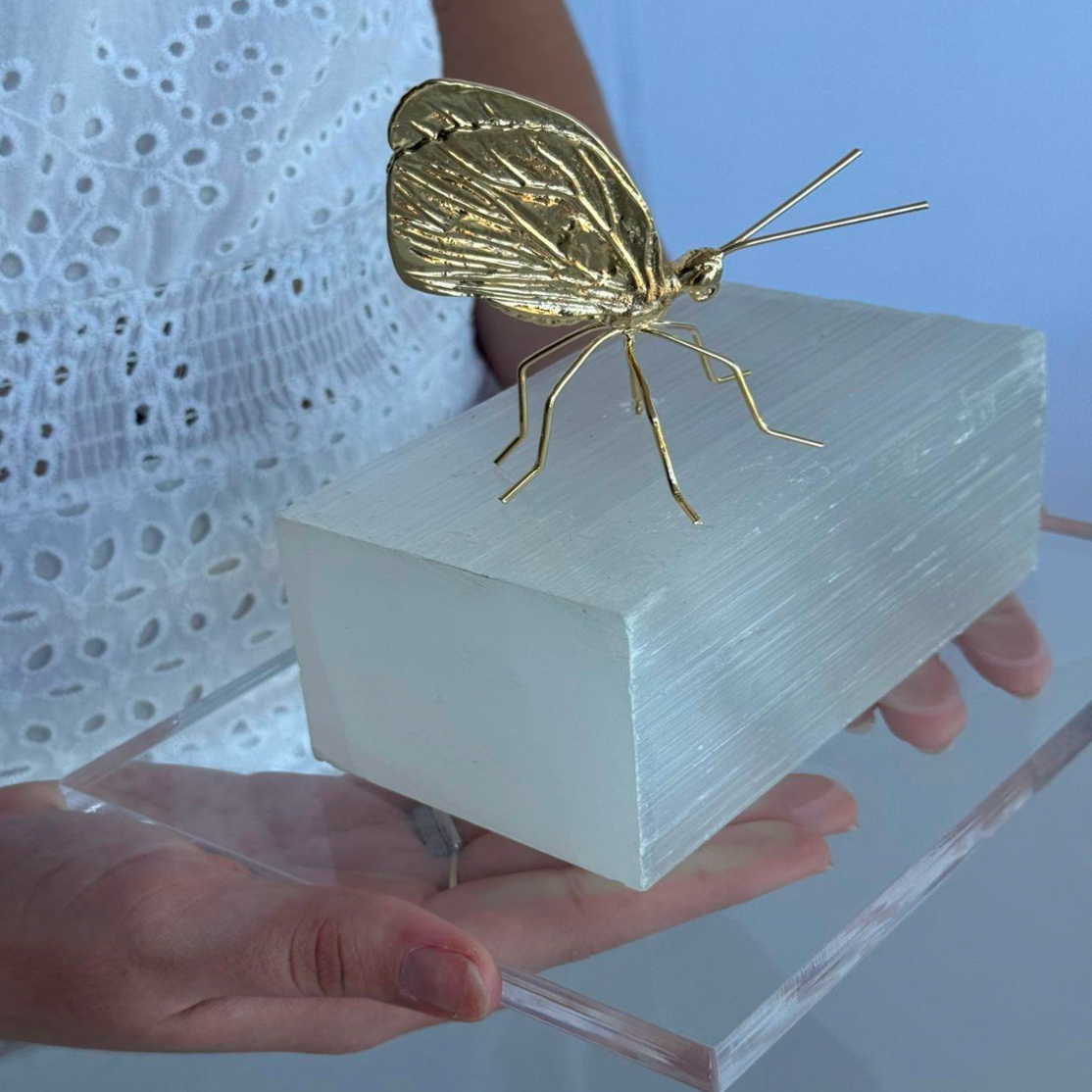 Selenita e borboleta banhada 18k