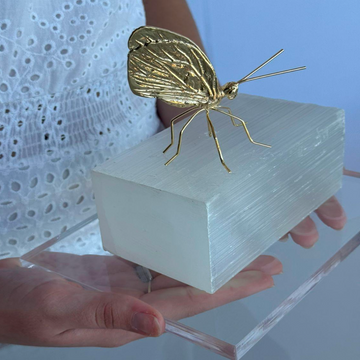Selenita e borboleta banhada 18k