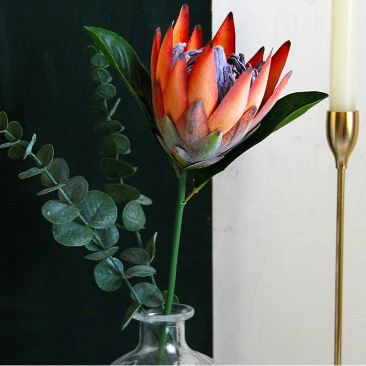 Haste de Protea permanente modelo 2 - 06 cores