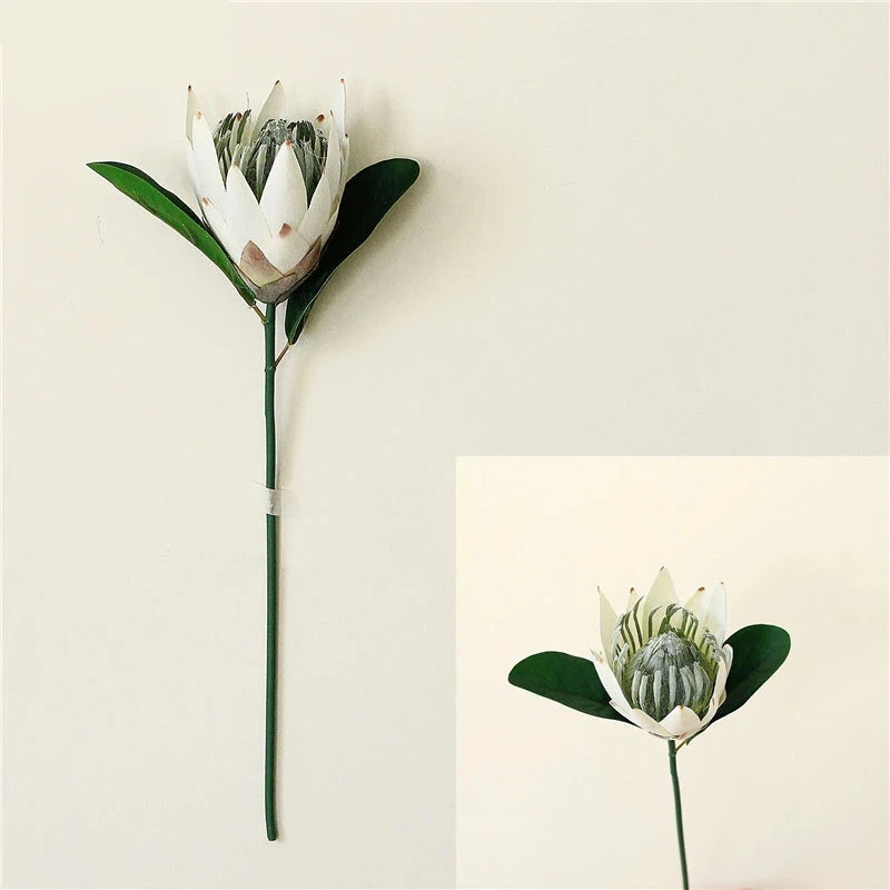 Haste de Protea permanente modelo 2 - 06 cores