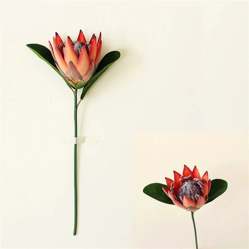 Haste de Protea permanente modelo 2 - 06 cores