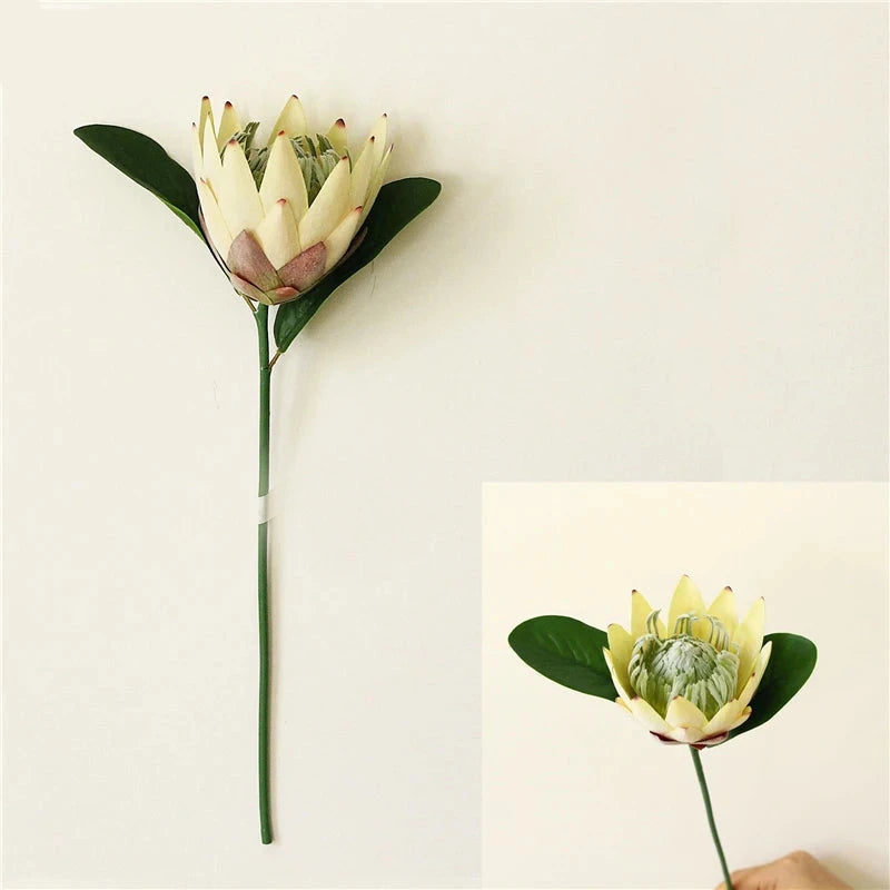 Haste de Protea permanente modelo 2 - 06 cores