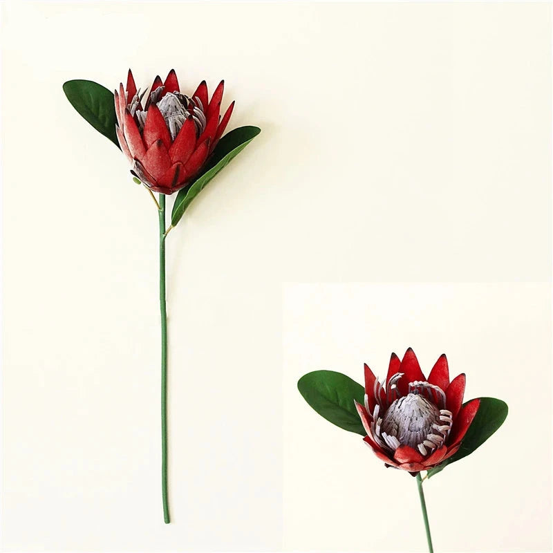 Haste de Protea permanente modelo 2 - 06 cores