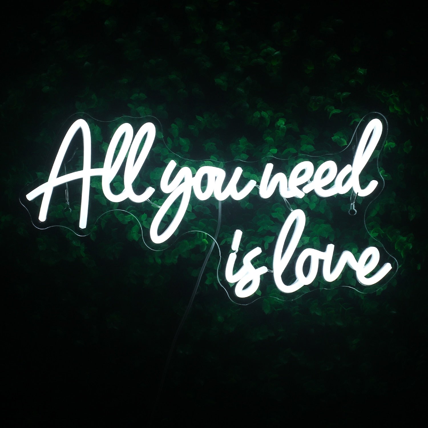 Neon All you need is love - 47cmx29cm