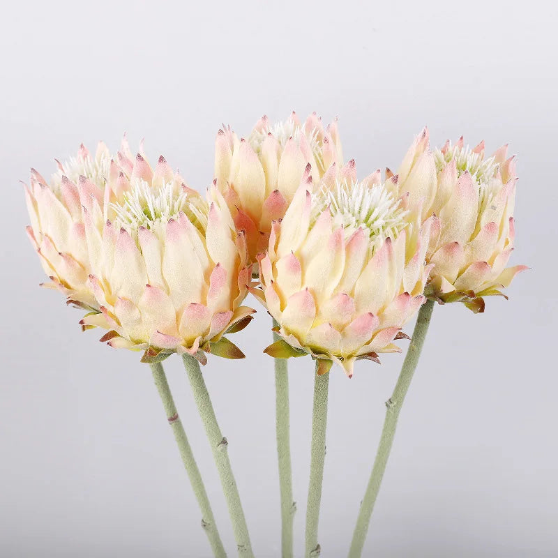 Haste de Protea permanente - 04 cores