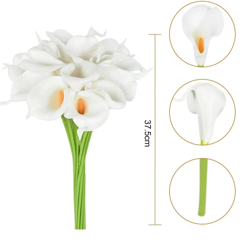 Jogo de hastes Copo de Leite permanente - 12 cores