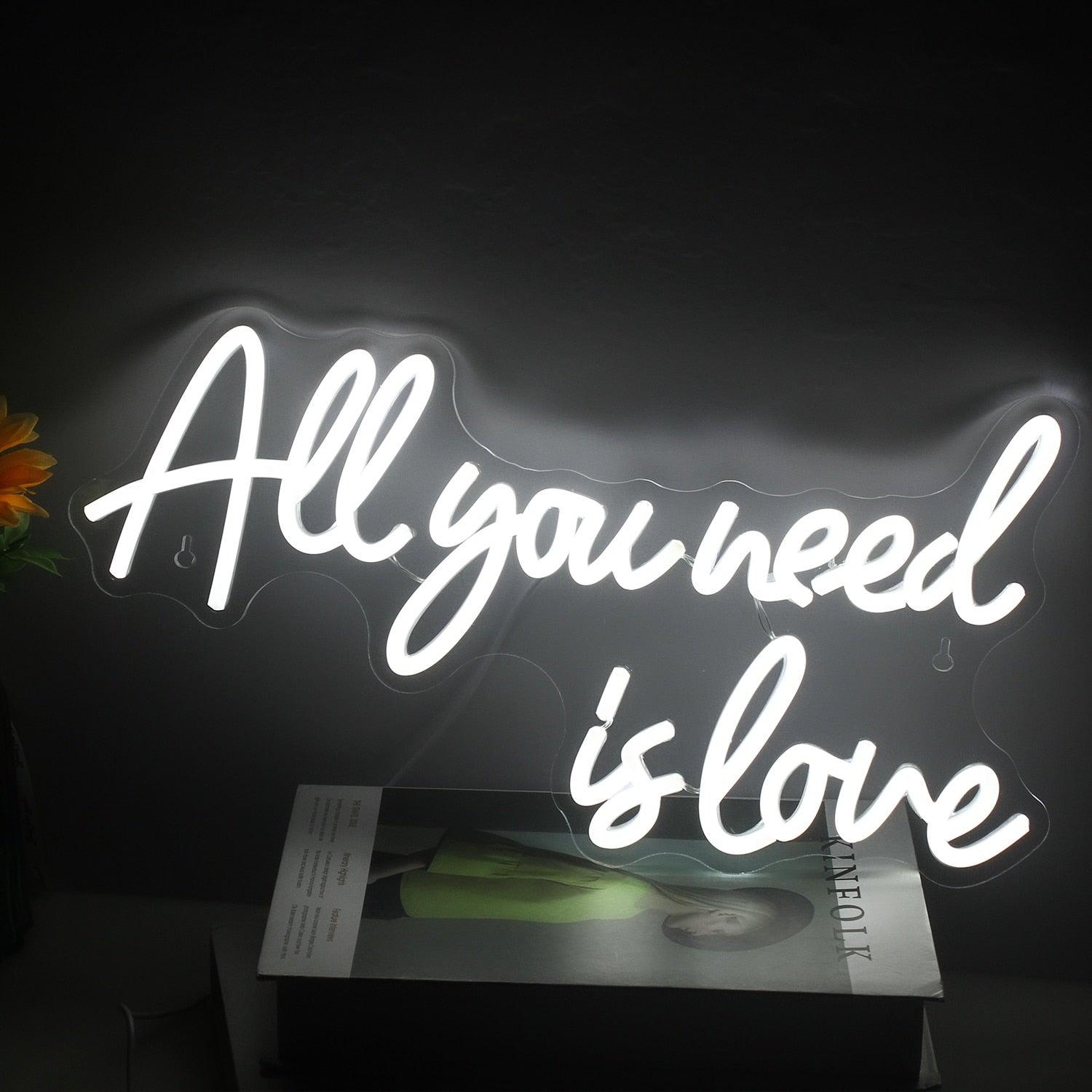 Neon All you need is love - 47cmx29cm
