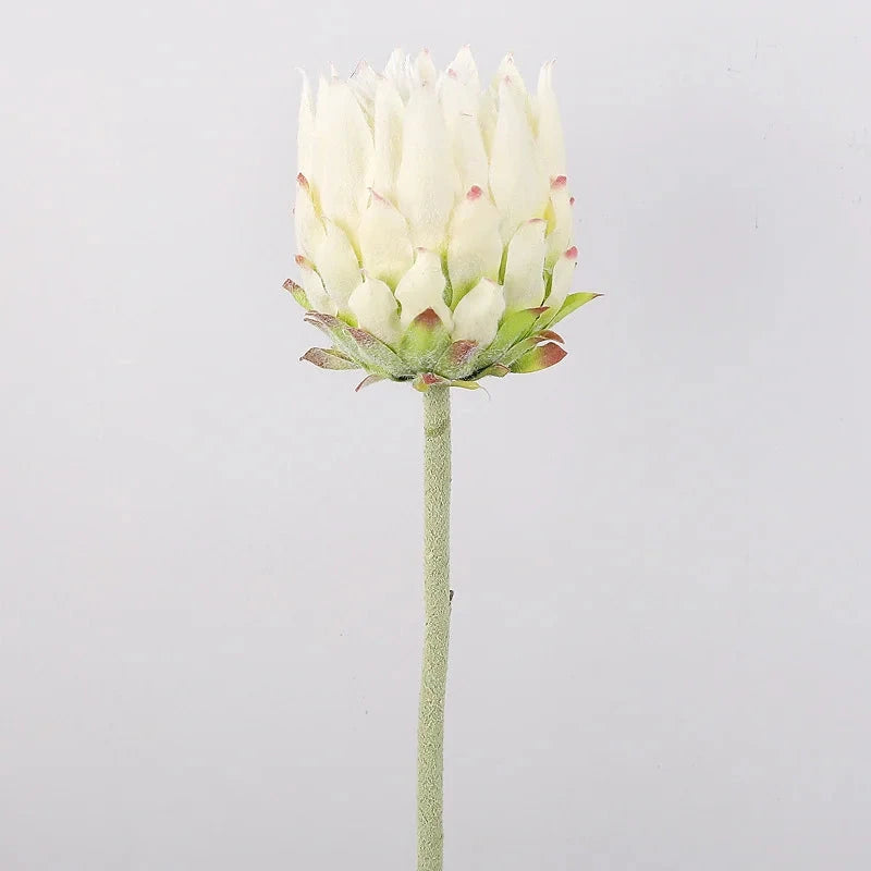 Haste de Protea permanente - 04 cores