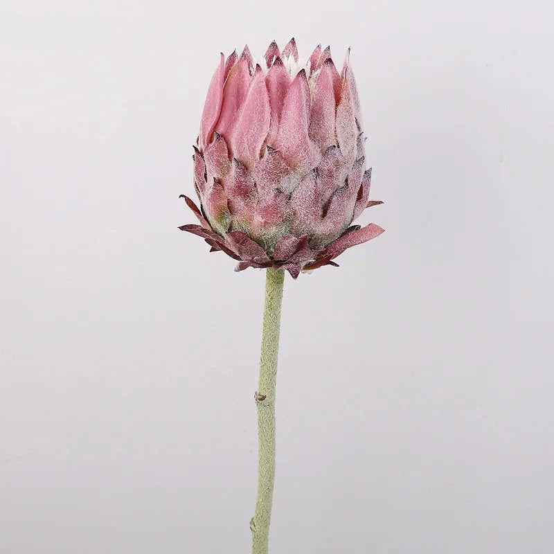 Haste de Protea permanente - 04 cores