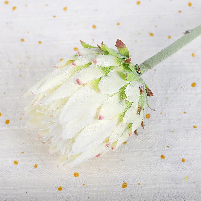 Haste de Protea permanente - 04 cores