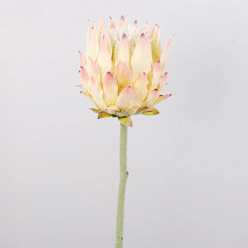 Haste de Protea permanente - 04 cores