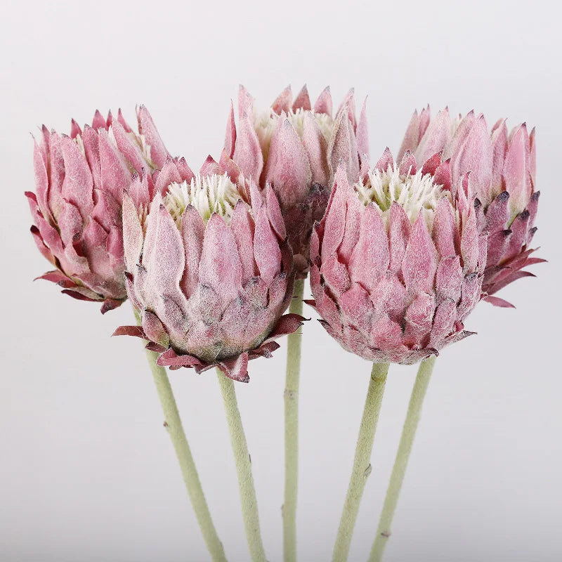 Haste de Protea permanente - 04 cores