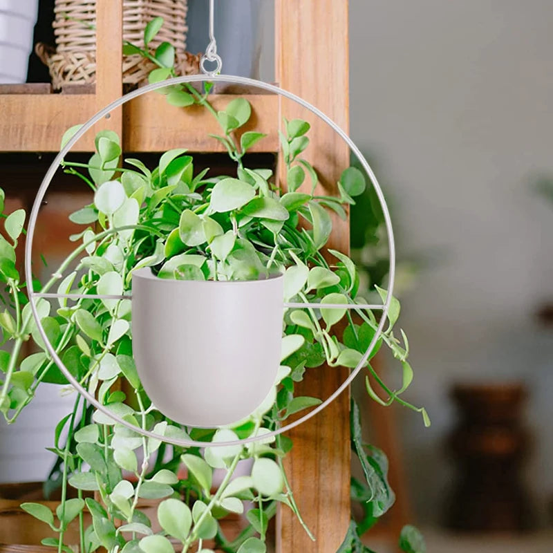 Vasos Suspensos Jungle Colors - em metal