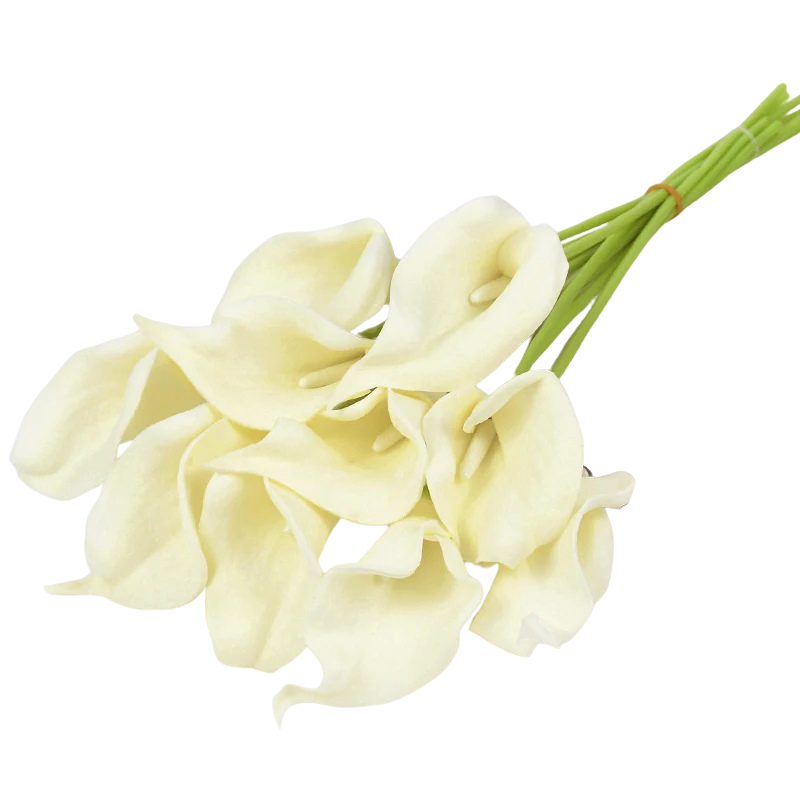 Jogo de hastes Copo de Leite permanente - 12 cores