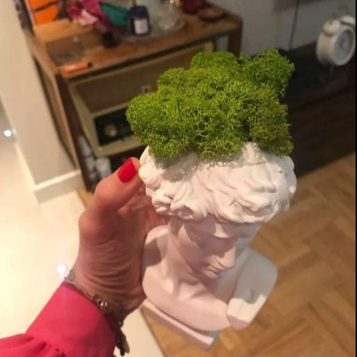 Davi de Michelangelo - Busto Vaso