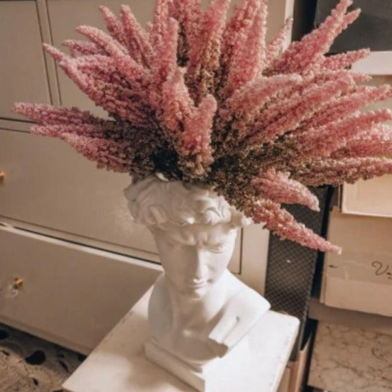 Davi de Michelangelo - Busto Vaso