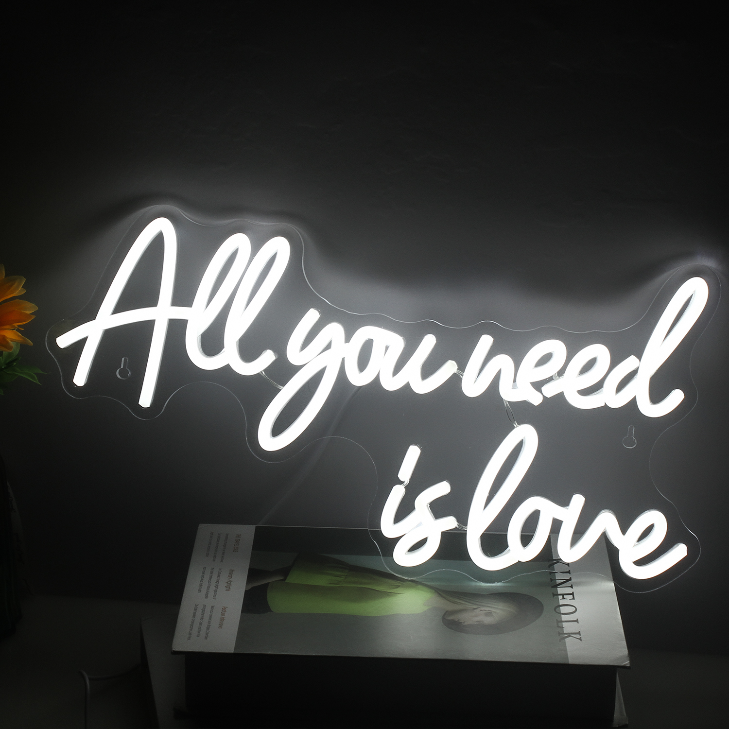 Neon All you need is love - 47cmx29cm