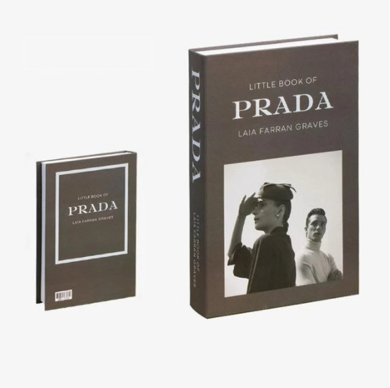 Livros Caixa Decorativos - diversos modelos