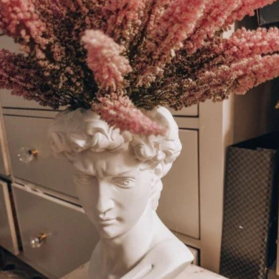 Davi de Michelangelo - Busto Vaso